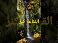 القناعة كنز