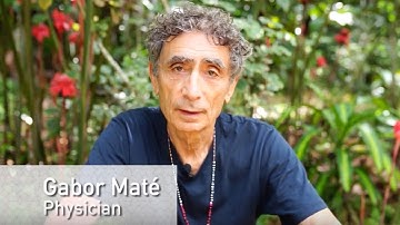Dr. Gabor Maté  - Ayahuasca Healing at the Temple of the Way of Light - Review Highlights