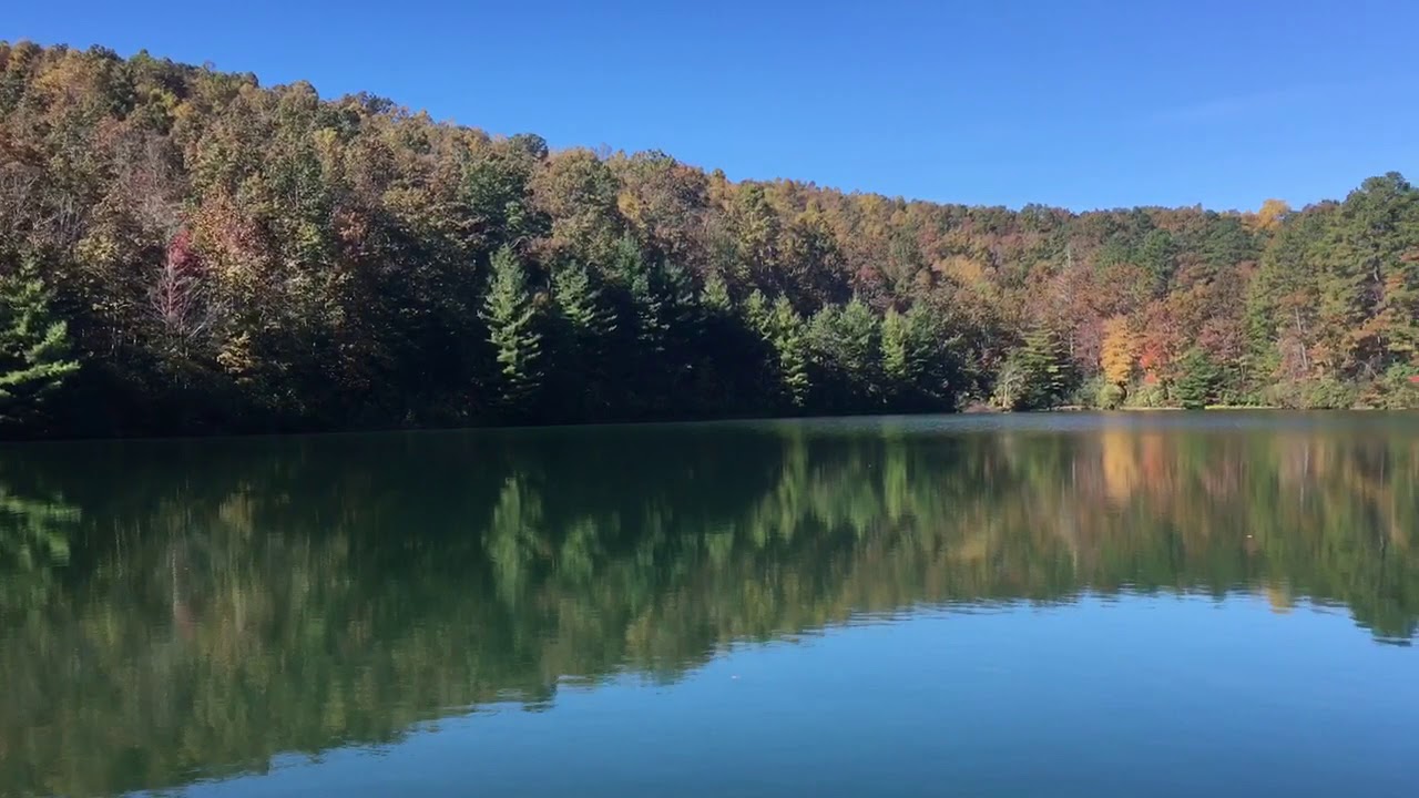 Dogwoods Retreat, Brevard NC Cabin Rentals + Dog Friendly Vacations