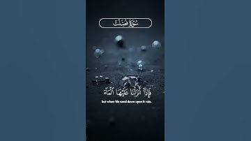 تلاوة جميلة من سورة فصلت بصوت الشيخ سعد الغامدي