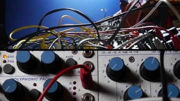 Weinglas - Un Petit Buchla 200e