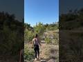 a beautiful morning💫🍂🌳🤍 #hiking #greatoutdoors #nature #jesuslovesyou #dayinmylife #vlog #shorts