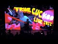 Cuckoo performance with epic visuals with only one synth