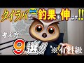 タイラバで絶対に釣果を伸ばす考え方を解説します。