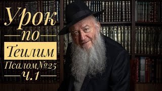 Урок по Теилим (Псалом№25 ч.1) | Царь Давид | раввин Элиягу Эссас