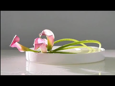 挺喜歡倪大師的手法壹✂定乾坤，下手就到位--插花藝術--ikebana--I really like Master Ni's flower arrangement art