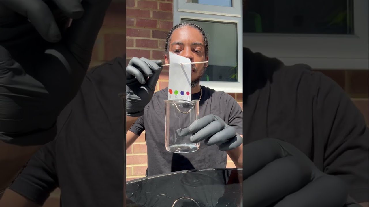 Chromatography Experiment From My Book Science Is Lit Chemistry