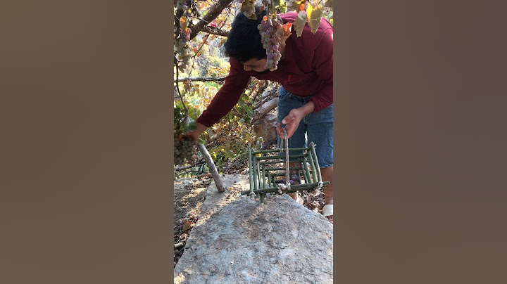 Survival Skills: Amazing Basket for Extreme Conditions. #survival #camping
