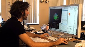 Christian Keysers. The Empathic Brain