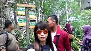 Solop beach (pantai solop) pulau cawan Indragiri hilir riau
