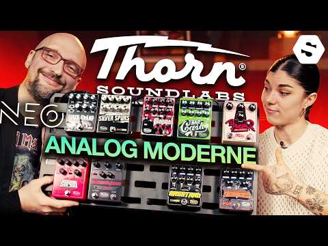 Can these pedals under €200 compete with boutique gear?! with @Neogeofanatic - SonoVente.com