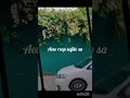30 sec of Rajasthani song ❤️🌷💐