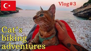 Nala Cats World Adventures Vlog3