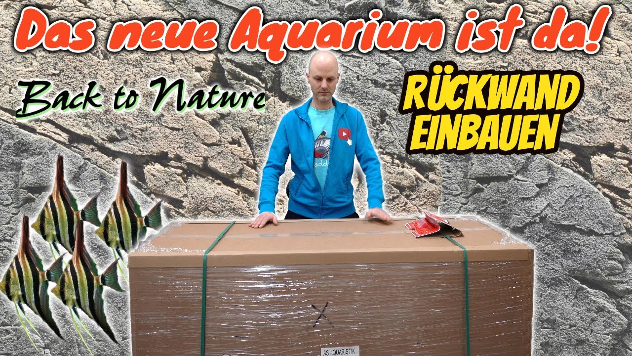 Das neue 550 Liter Biotop Aquarium bekommt eine Premium-Rückwand | Back to Nature Slimline
