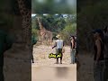 أم وابنها يختفيان في غابة بالأدغال الأفريقية قصص واقعية قصص الجزائر السعودية المغرب Story أم وابنها يختفيان في غابة بالأدغال الأفريقية قصص واقعية قصص الجزائر السعودية المغرب Story