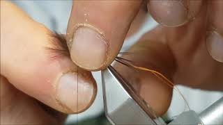 my pheasant tail dry fly