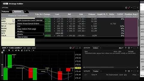 Import stocks and options watchlist to Interactive Broker