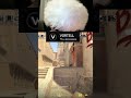 У кого тоже были такие ситуации? #v0rtell#вортел#cs2#twitch#fyp#нарезка#рек#рекомендации#твич#стрим