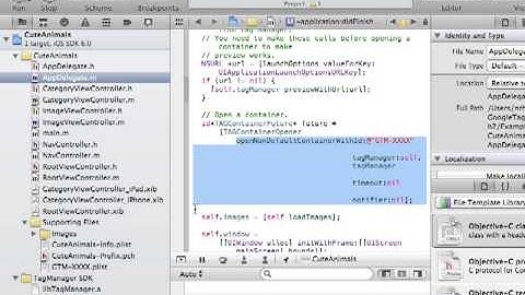 GTM Mobile: iOS-Getting Started