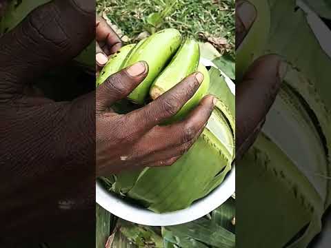 How We Prepare Green Bananas Matooke Village Cooking Channel Offgrid Homestead Viral Shorts