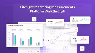 Lifesight : Your Unified Marketing Measurement Platform | DEMO