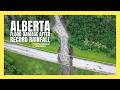 Massive road washout and flood damage in Alberta after record June rainfall