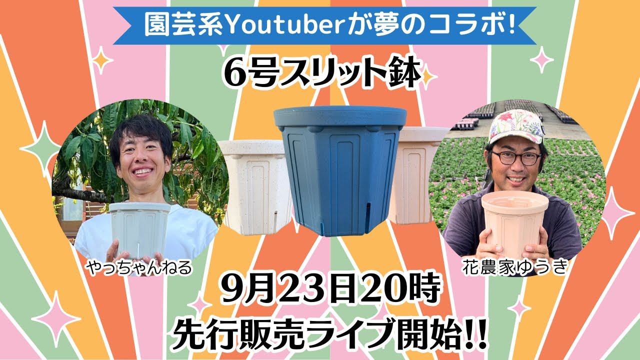 ◇[Original slit bowl] LIVE broadcast advance sale project! - YouTube