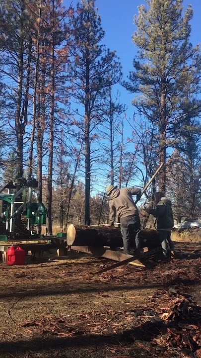 STIHL Soufflerie électrique BGE 81