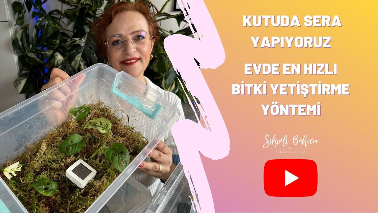 Evde En Hızlı Bitki Yetiştirme Yöntemi | Kutuda Sera Yapıyoruz.