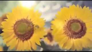 FOOD STYLIST Freiss Honey Syrup Indofood by Jumaliana