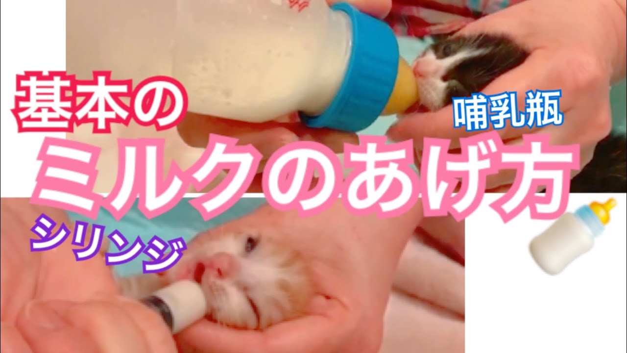 ミルクのあげ方【哺乳瓶&シリンジ】 YouTube