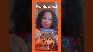 Meet the Camel : fun facts for kids #animalfunfacts #camels #kidzone #preschoollearning