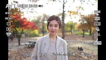 Canon EOS R Eye Detection AF