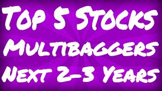 Top 5 Stocks Which Could Turn Multibaggers According To You In The Next 2-3 Years