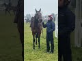 Kopek Des Bordes and Paul Townend ahead of their Michael O'Sullivan Supreme Novices' Hurdle run! 💪