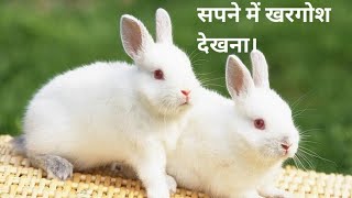 सपने में खरगोश देखना।sapne me khargosh dekhana। seeing rabbit in dreams। duniya sapnon ki। screenshot 5