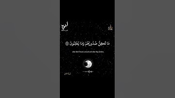 💚🎧. #قران #قرآن #قران_كريم #قرآن_كريم #القران_الكريم #القرآن_الكريم #اكسبلور  #سورة_النمل#إسلام_صبحي