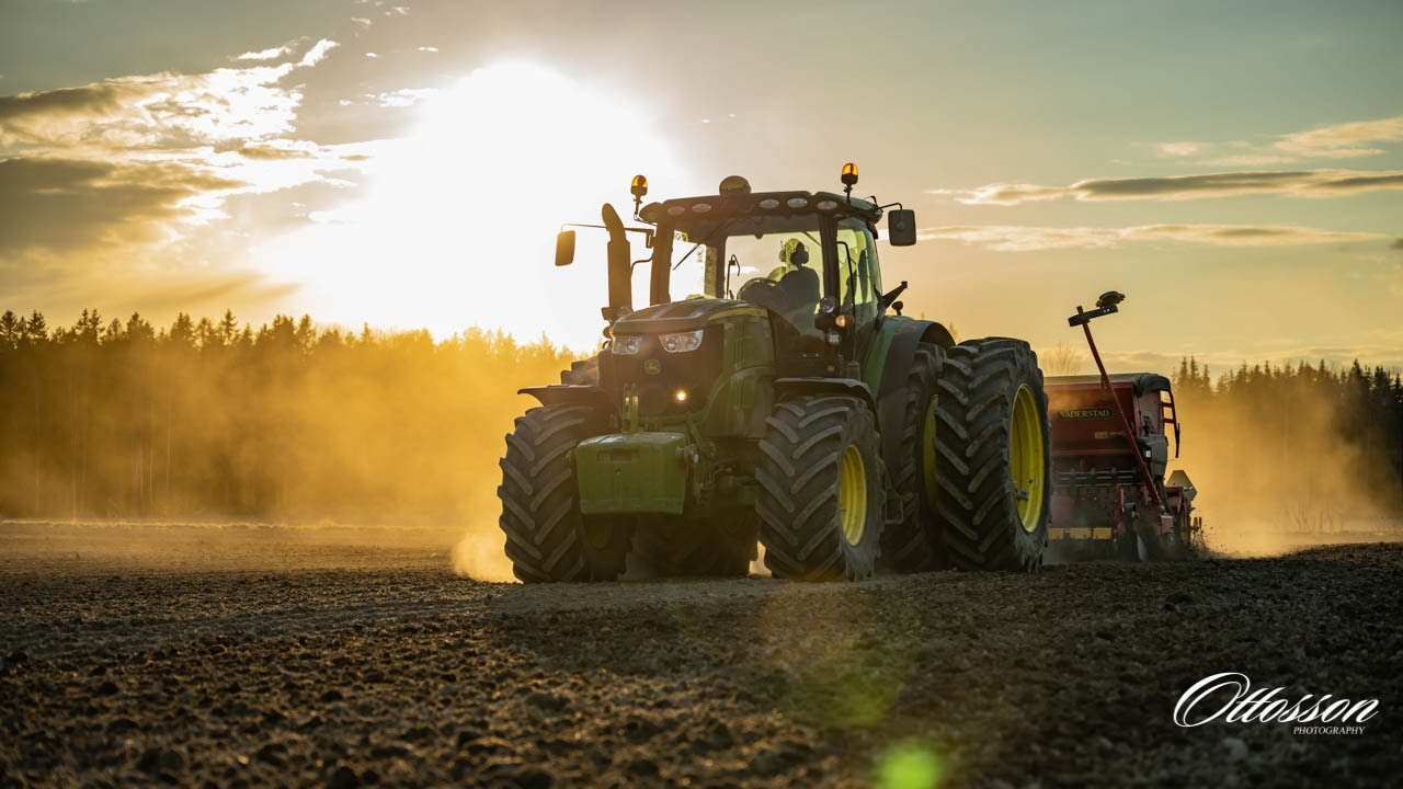 LET'S START SEEDING 2021 I SWEDEN I