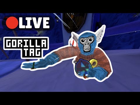 PLAYING GTAG WITH YOU GUYS MINIGAMES AND MORE - YouTube