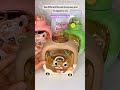 Video Image