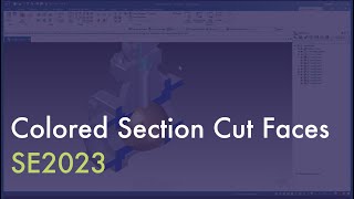 Colored Section Cut Faces in SE2023