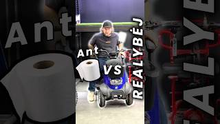Ant popieriaus galingas, o kaip realybėje?