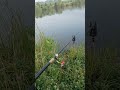 100% є!!! 🐟👍