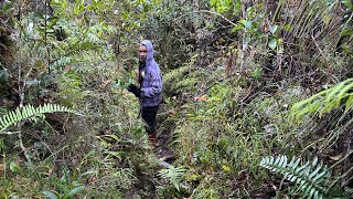 Climb Mount Giluwe And Wilhelm Papua New Guinea 2 Climb Mount Hagen