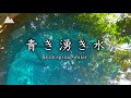【癒し映像＆音】富士山の青い湧き水［5時間］