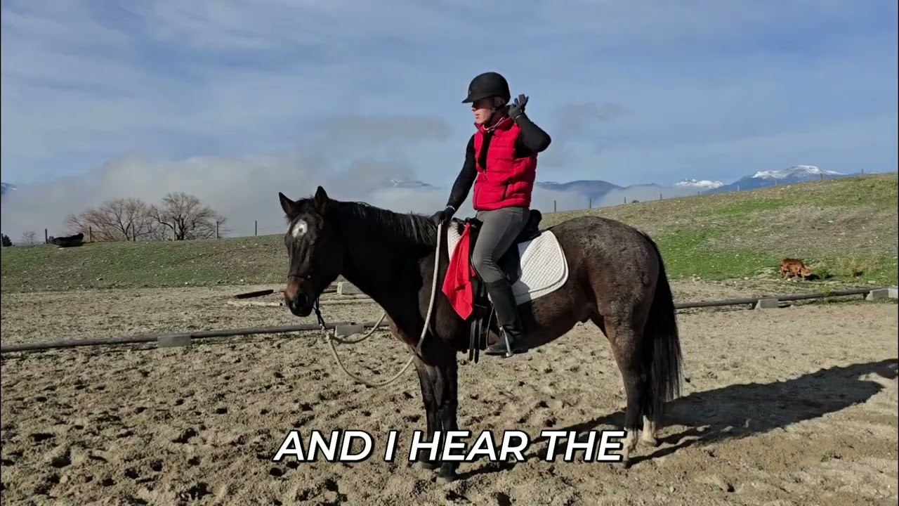 Horse Training: Effort Game for More Movement