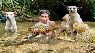 Traditional Net Fishing for Giant Fish | Rebuilding My Mountain Kitchen After the Flood