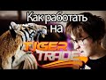 Разбор платформы TigerTrade | Плюсы минусы