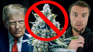 The U.s Hemp Industry Is Cooked...