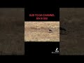 Check out the video and consider subscribing! #fishing #catfish #bassfishing #camping #lakecamanche